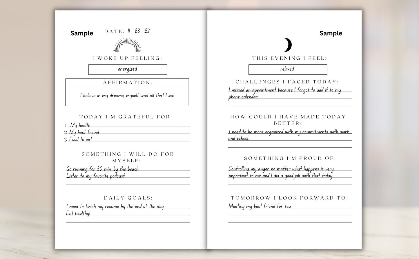Gratitude Journal Day & Night (Hardcover)